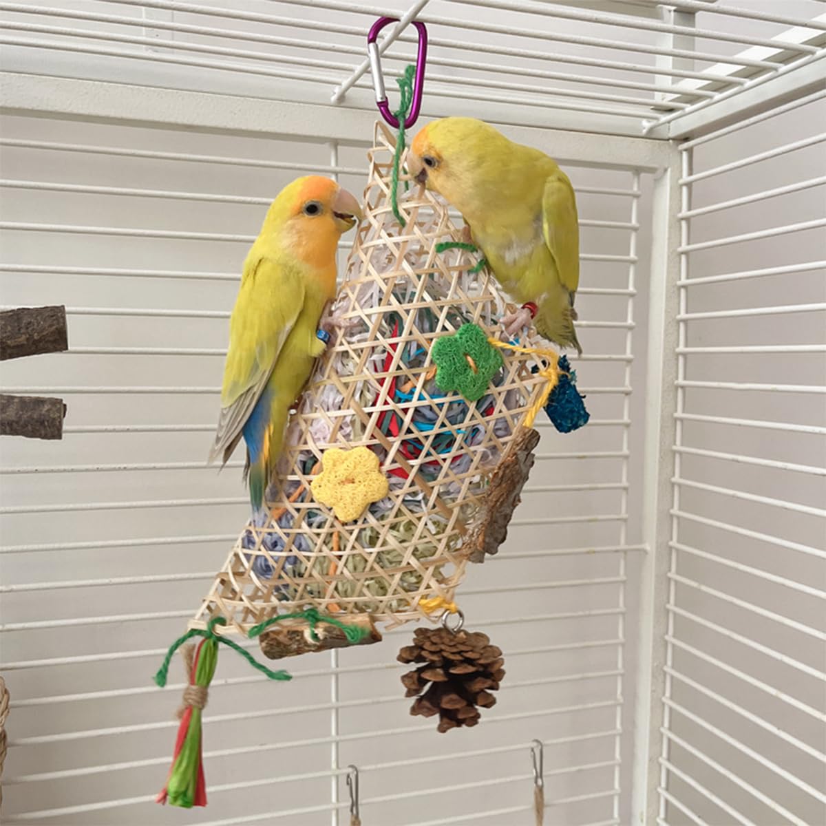 ZYYRSS Bird Parrot Toys, Hanging Foraging Shredder Toys for Small Medium Small Bird Conure Cockatiel Parrotlet Lovebird Budgie