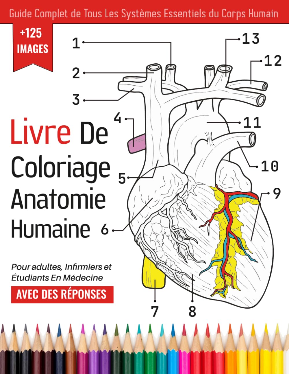 livre de coloriage anatomie humaine Pour adultes, Infirmiers et Étudiants En Médecine | Guide Complet de Tous Les Systèmes Essentiels du Corps Humain