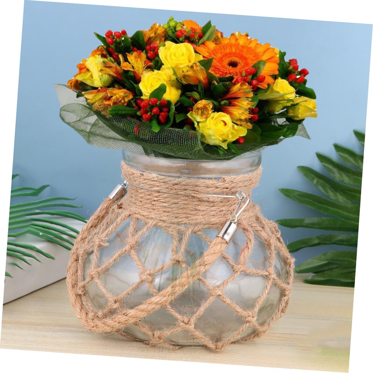 Vase en Verre à Corde Hydroponique Créatif pour Plantes Vertes