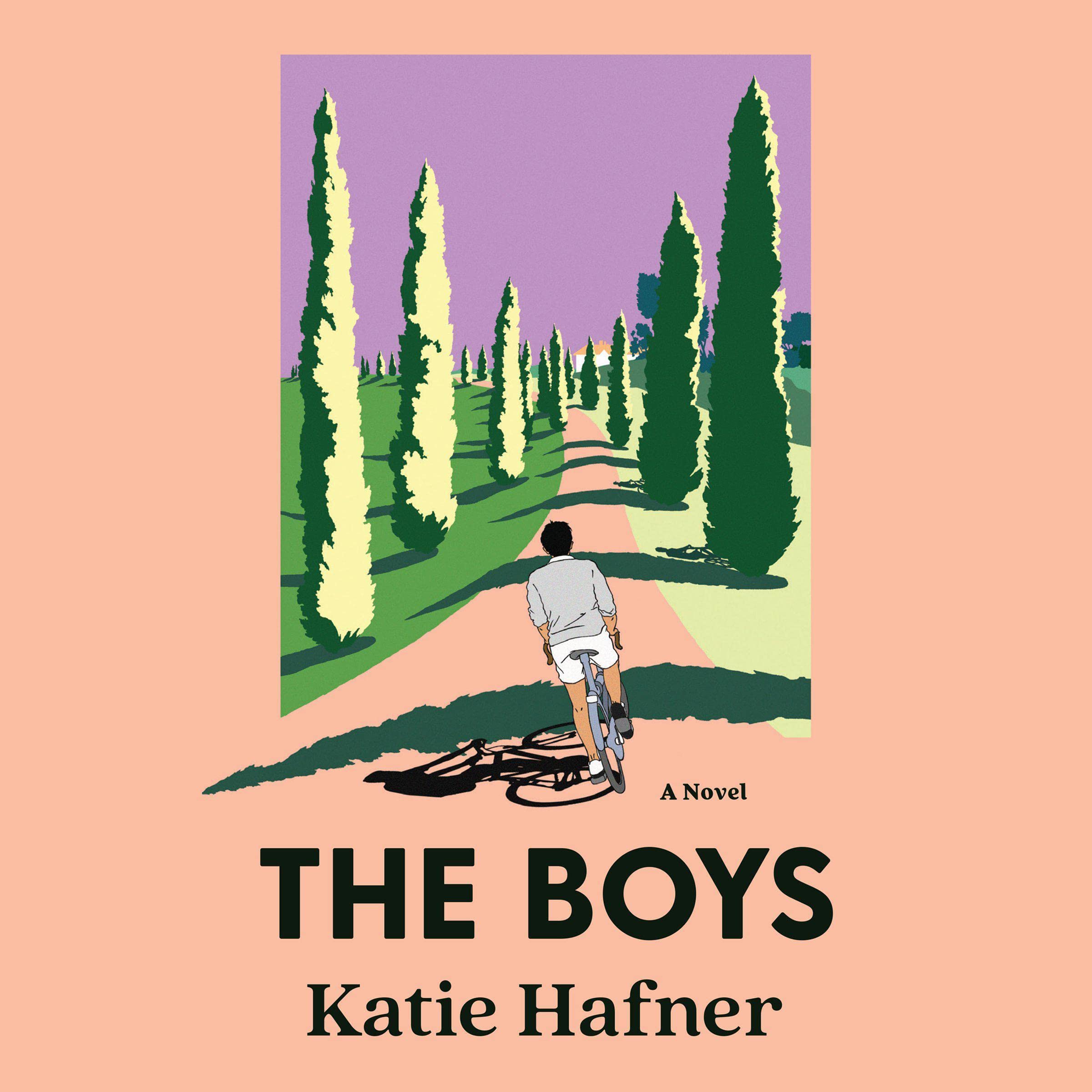 Cover art for The Boys