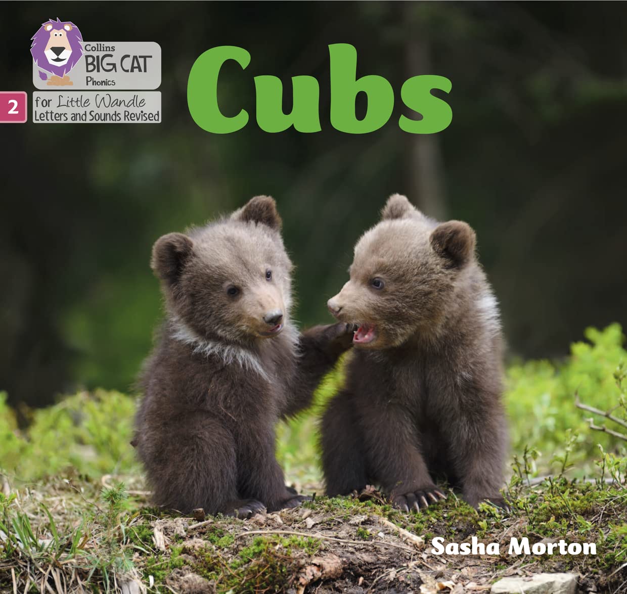 Cubs by Sasha Morton PAPERBACK 9780008502676