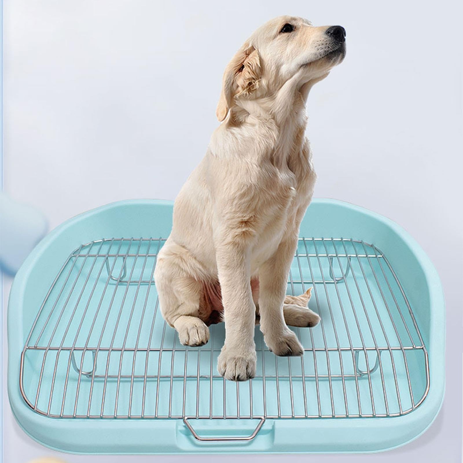 Hunde-Toilette mit Herausnehmbarem Edelstahldrahtgitter