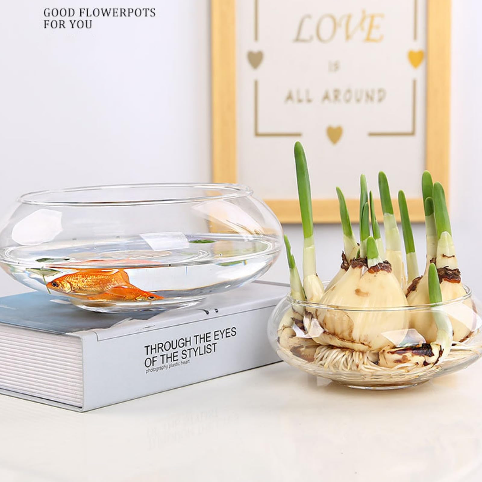 Amazon.com : Lotus Bowl Planter Round Lotus Bowl Glass Lotus