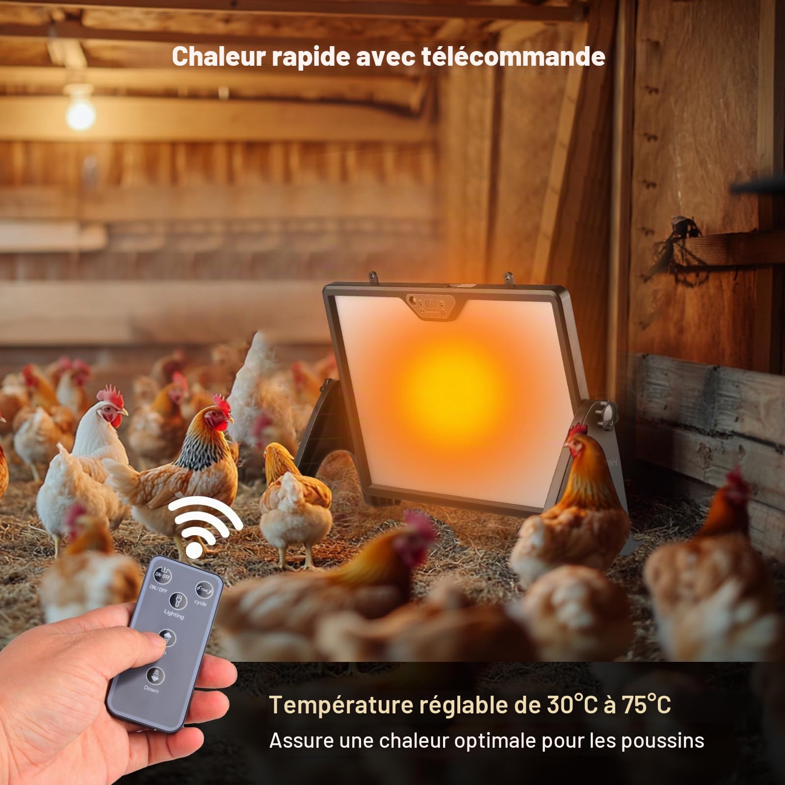 Plaque Chauffante Poussin 180W Double Face, Chauffage pour Poulailler avec Thermostat Réglable 30-75°C & Télécommande, Panneau Chauffant pour Élevage de Volailles, Sécurité