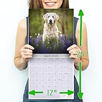 Vista 204 de Razas de Perros 2017