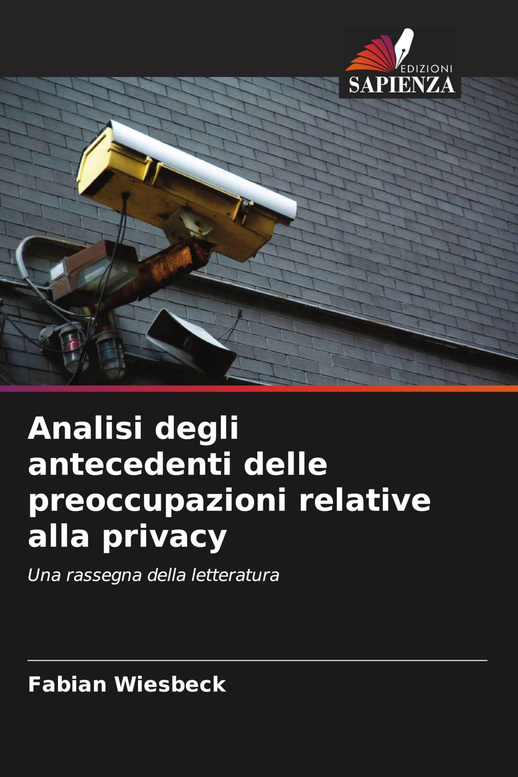Analisi degli antecedenti delle preoccupazioni relative alla privacy: Una rassegna della letteratura