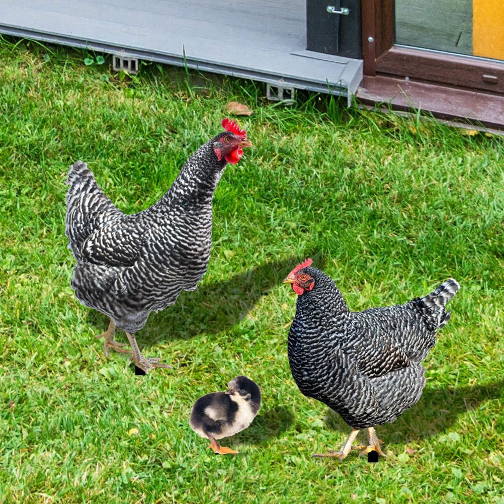 HANABASS 3pcs Acrylic Hen Chick Yard Arts Decorative Chicken Realistic Shaped Yard Stake Lawn Stakes Decorative Garden Stakes