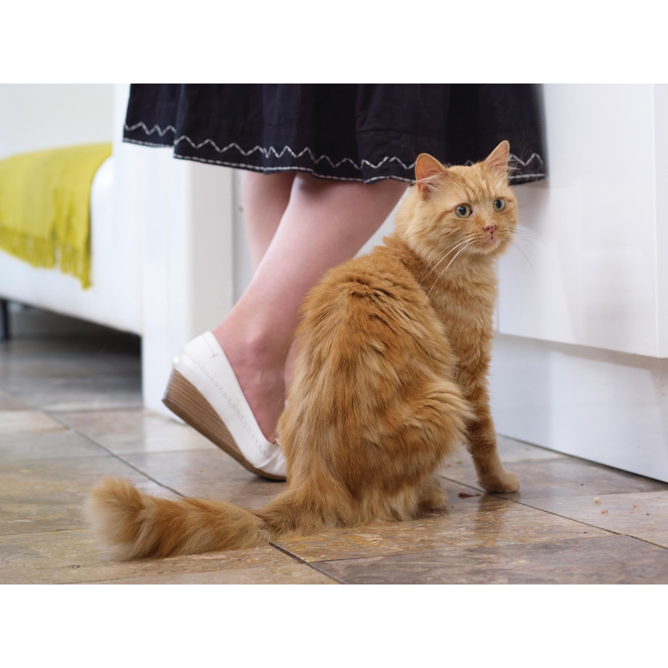 PetSafe Staywell, tunel przedłużający serii 900, 18 mm, łatwy montaż, 1 szt. (1 szt.)