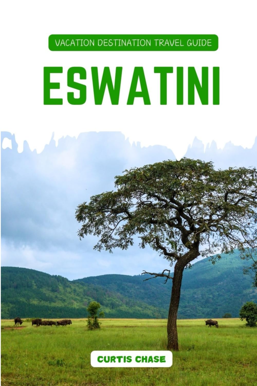 Vacation Destination Travel Guide to Eswatini: Eswatini Sightseeing and Adventure Guide: Discover Wildlife Safaris, National Parks and Cultural Festivals