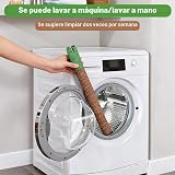 Ver la foto 7