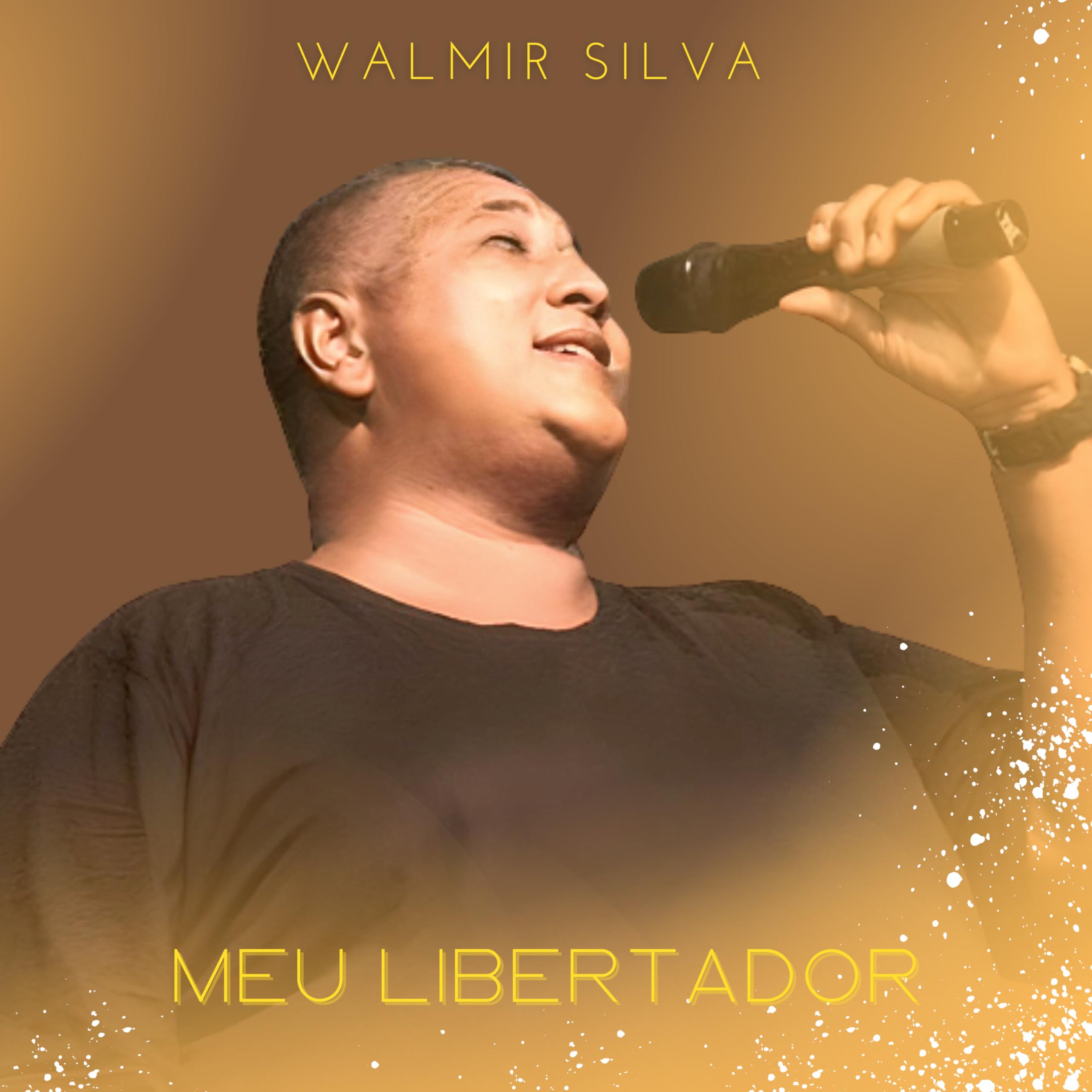 Walmir Silva