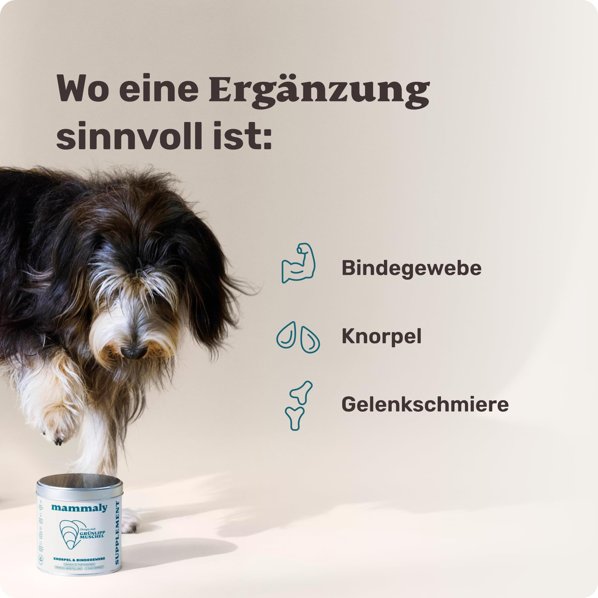 Grünlippmuschel Hund die Gelenktabletten von mammaly - ca. 200 Snacks für Hunde (340g) - Kann positiven Beitrag bei Arthrose leisten - Alternative zu Tabletten, Kapseln & Grünlippmuschelpulver