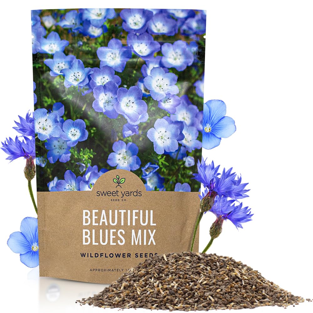 Amazon.com: All Blues Wildflower Seeds - Bulk 1/4 Pound Bag - Over 30,000  PureAnnual and Perennial Flower Seeds : Grocery & Gourmet Food