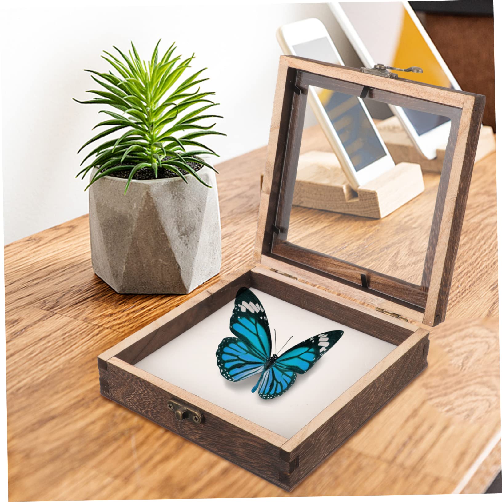 Scatola Espositiva Insetti In Legno 31x22x4cm - Vetrina Con Coperchio Trasparente Per Collezioni - Foto 3