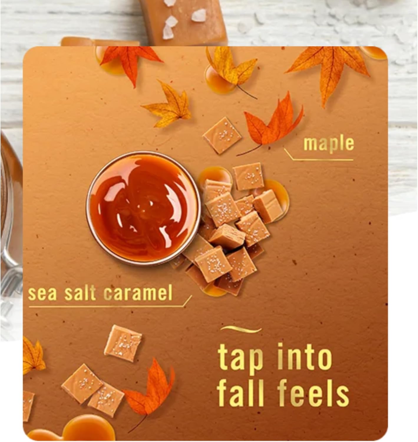 Febreze Plug In Refills Fall Scents, Limited Edition Multi Pack Includes 6 Refills