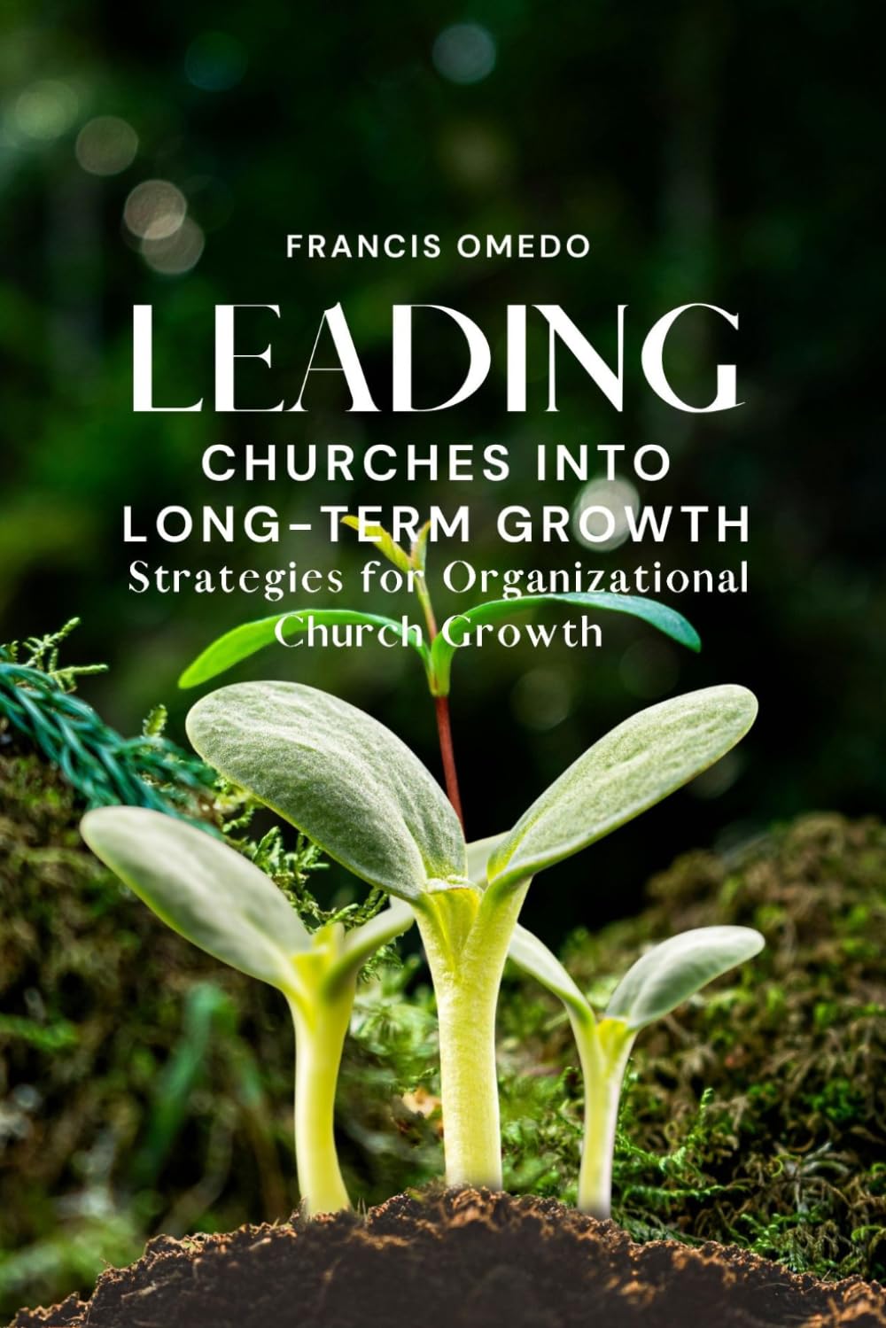 Leading Churches into Long-Term Growth: Strategies for Organizational Church Growth