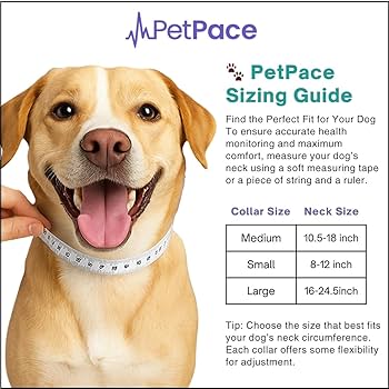 AI Health Monitor & GPS Tracker for Dogs | Track Heart Rate, Pain, Anxiety & Stress | Vet Backed, Near Real-Time Alerts & Monitoring | Subscription Required | PetPace Smart Collar 2.0 (