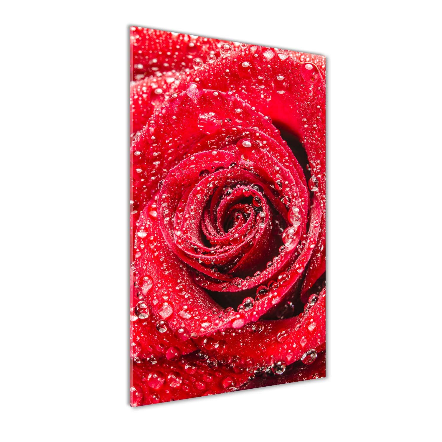 Fleurs et plantes en impression panoramique Tulup tableau en noir blanc et rouge