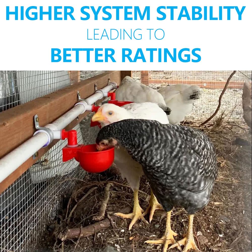 Sistema automático de riego de Pollo con Tubo de PVC de 1,27 cm y Kit de Conector de Manguera, a Prueba de Fugas y fácil de Montar, Compatible con Tanques de Agua