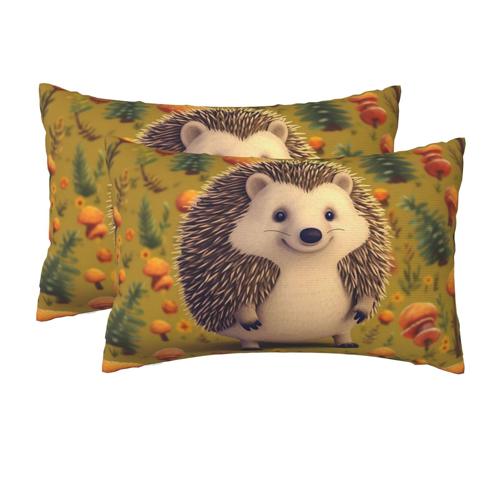 2 Pack Queen Pillow Cases with Hidden Zipper, Soft Breathable Pillow Covers for Hair and Skin, Hedgehog Pillowcases 20"x30" Bed Pillow Protectors Cover for Sleeping Gifts