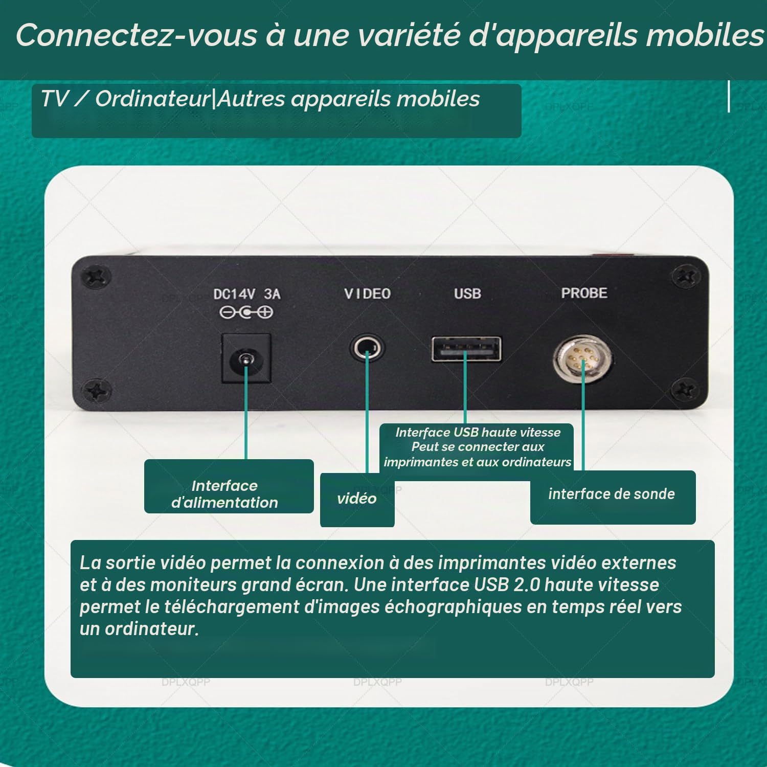 échographe Vétérinaire Portable,Appareil échographie avec Sondes (M1, M2, M3) pour Diagnostic De Gestation des Porcs,Bovins,Ovins,Chevaux,Chiens & Chats,écran LED 5.6" M3