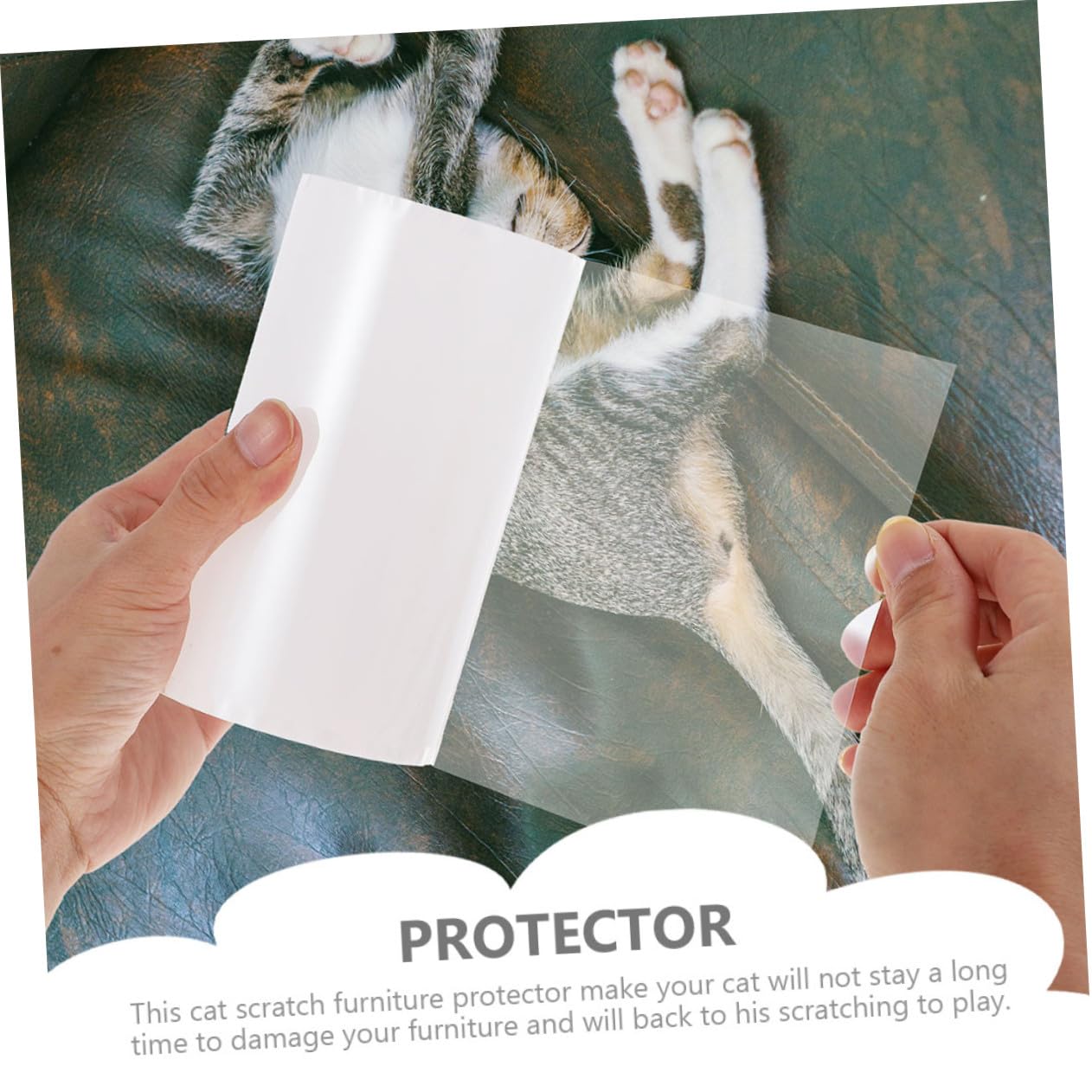 2 Rollen Verschleißfestes Katzen kratztape Transparenter Möbel schutzaufkleber Kratzfest Abwaschbar Wiederverwendbar Haushaltsmöbel Schutz für Sofas und Couch Katzenmöbelschutz