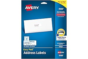 Easy Peel and Print 1x2.625 Inch Blank White Avery Shipping Labels (08160)