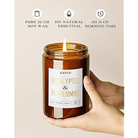 AOOVOO Eucalyptus Mint Candle - Large Scented Soy Wax Aromatherapy Candle, 22oz