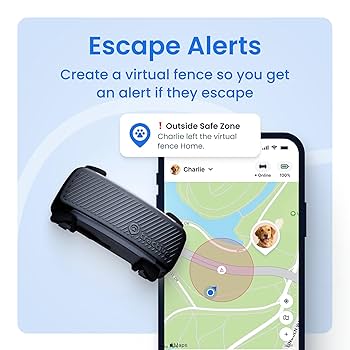 Amazon.com: Tractive Smart Dog GPS Tracker | Live Pet