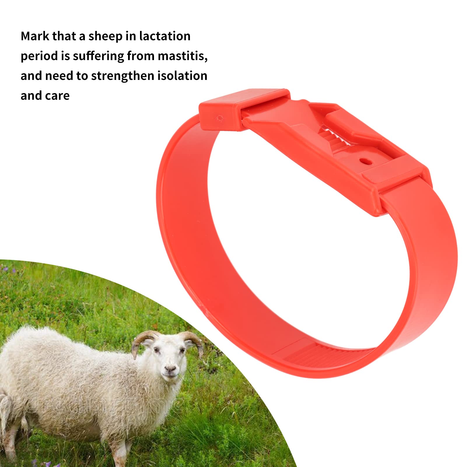 Colliers d'Identification pour Chèvres et Moutons, Bandes de Marquage de Bétail, Rouge, 36 cm, 10 Pièces, pour Petits Animaux de Ferme