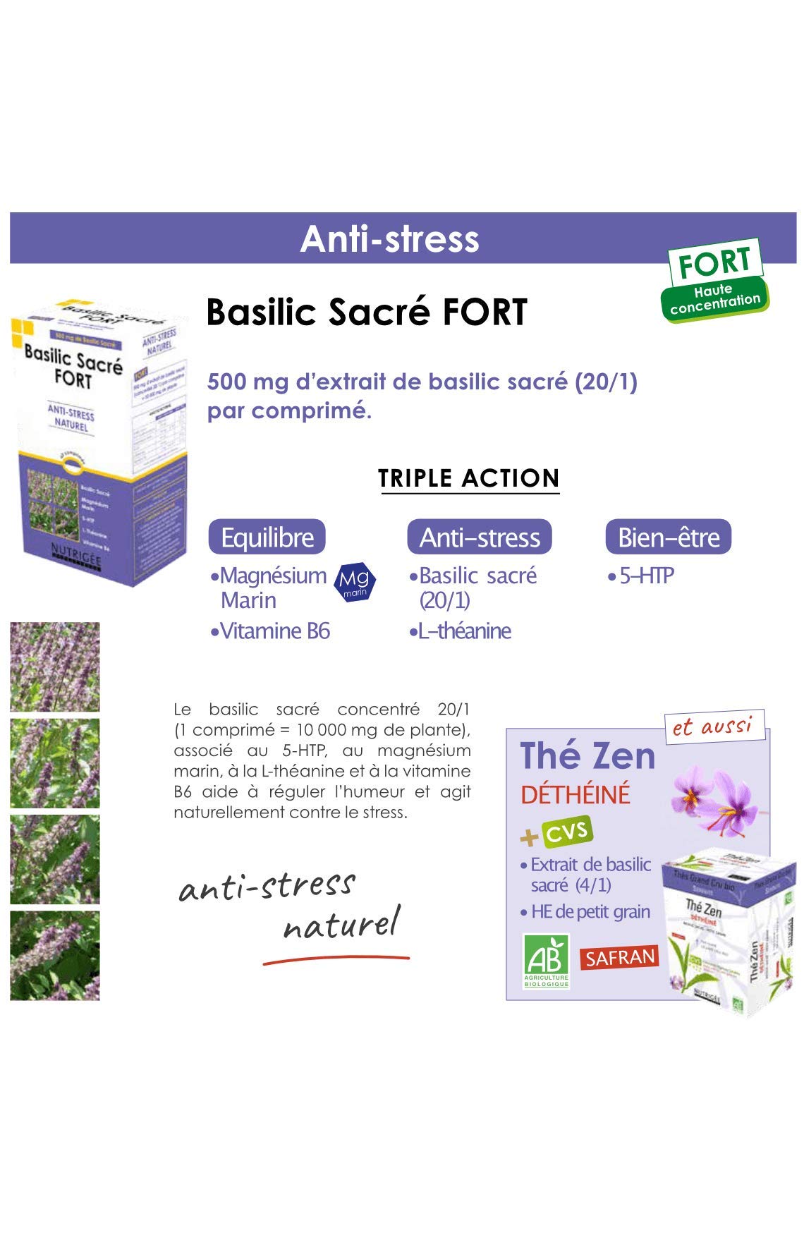 NUTRIGÉE - Basilic Sacré Fort - Équilibre - Anti-Stress - Bien-Être - Régule L'Humeur, Agit Contre Le Stress, Réduit La Fatigue - 2 Prises/Jour - 60 Comprimés - Programme 30 Jours - Fabriqué en France