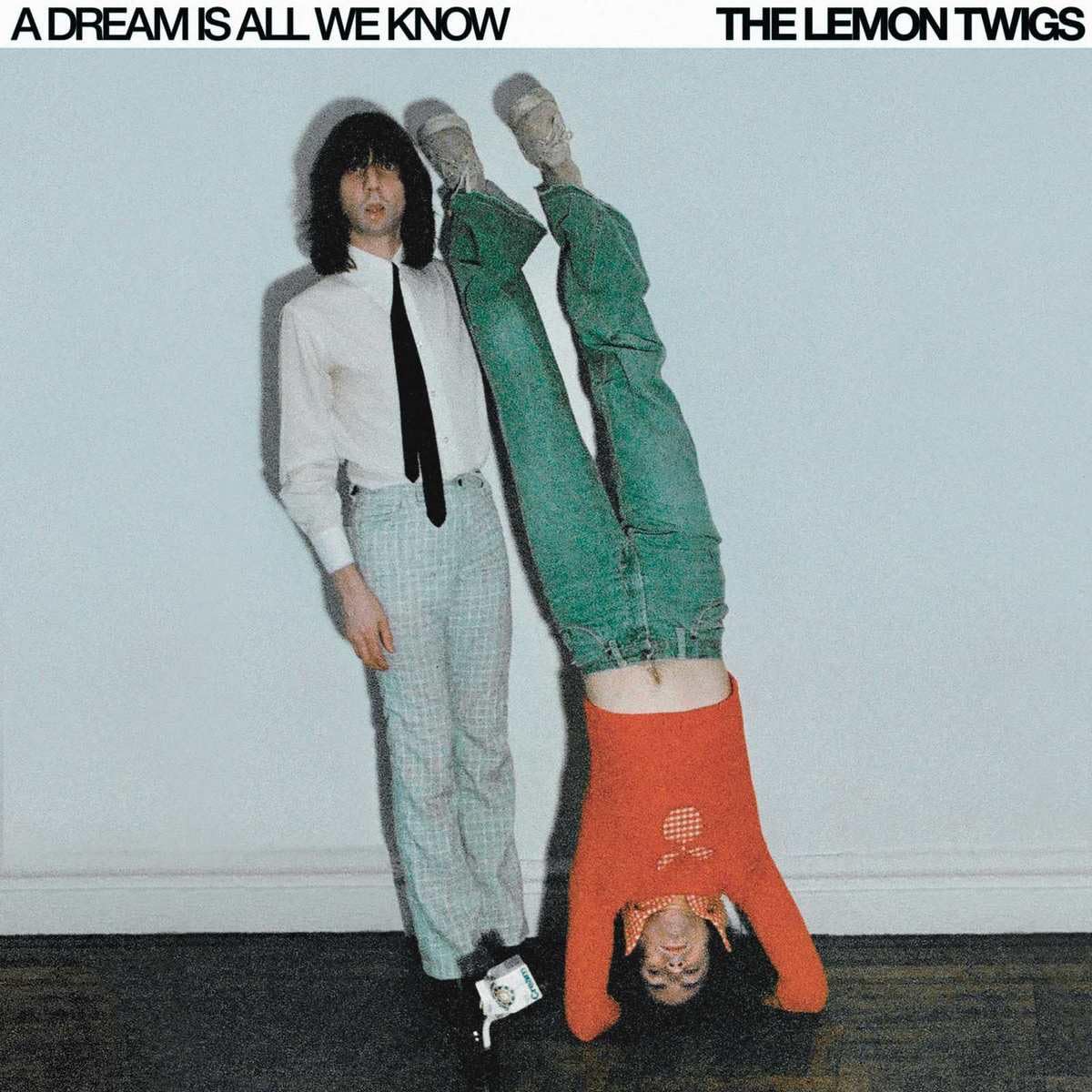 A DREAM IS ALL WE KNOW (ICE CREAM