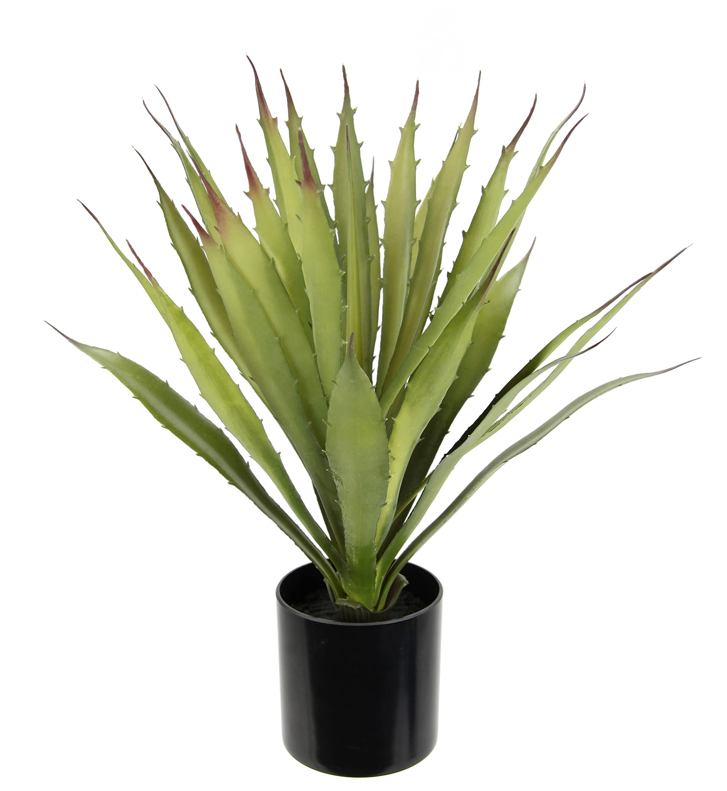 Amazon.de: Knstliche Agave Aloe Vera im Topf Kunstpflanze Sansevieria  exotische Pflanzen Grnpflanze Kunstblume Topfpflanze Zimmerpflanze Deko  Terrasse Balkon Sukkulente Yucca Kalanchoe Kaktus Kakteen