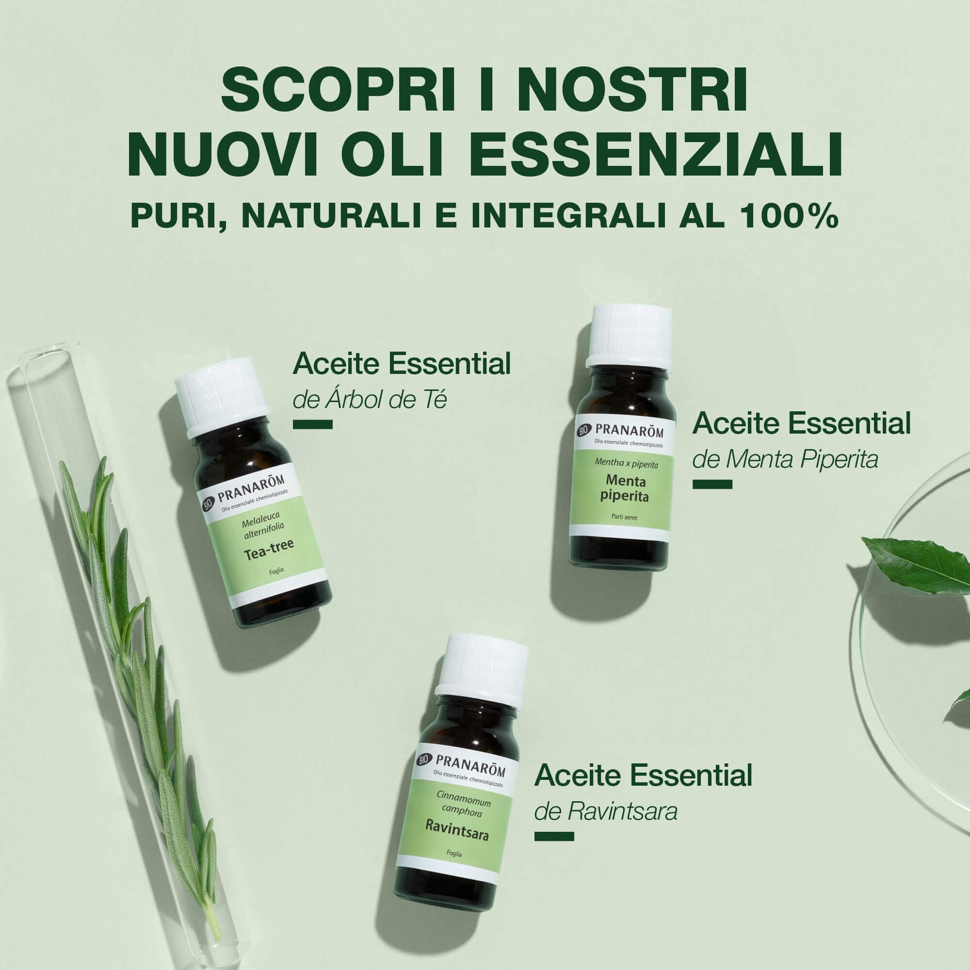 PRANARÔM Olio Essenziale Tea Tree BIO - 100% Puro e Naturale OECT - Antibatterico, Antivirale, Purificante - Difese Immunitarie e Cura della Pelle - 10ml