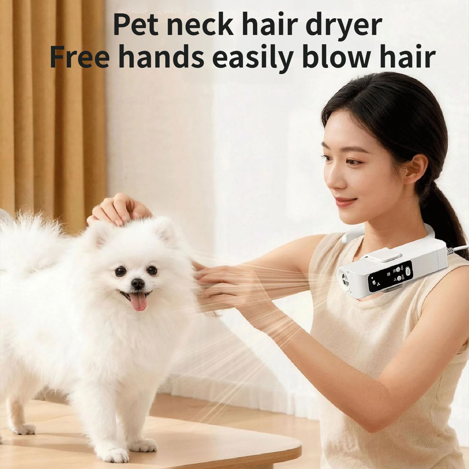 Sèche-linge pour animaux domestiques puissants - Séchage rapide - Portable - Outil de toilettage pour chien