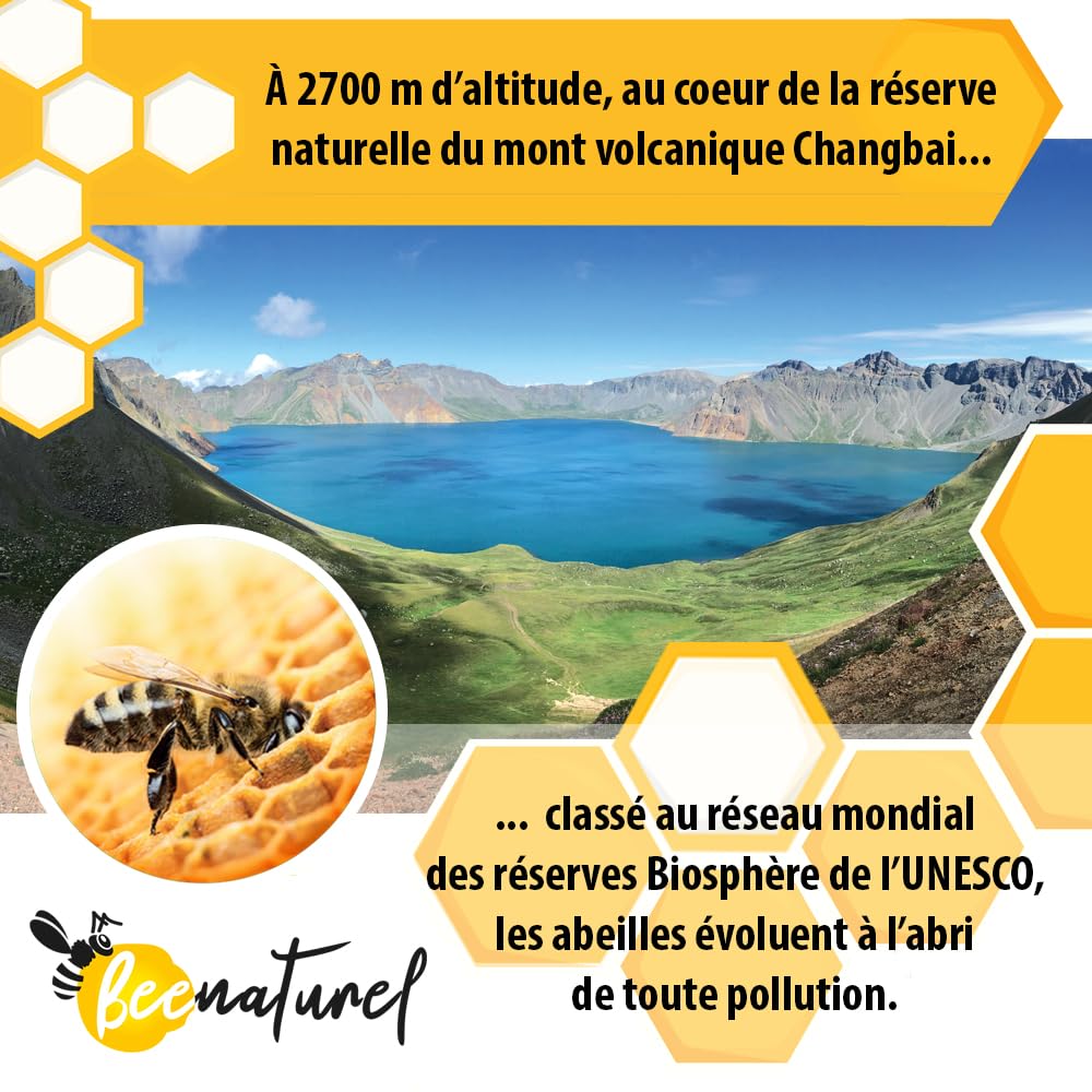 Gelée royale bio 120g | 120 dosettes 1g | Programme hiver 4 mois | Gelée royale française fraîche pure | Immunité adulte enfant | 100% Naturel