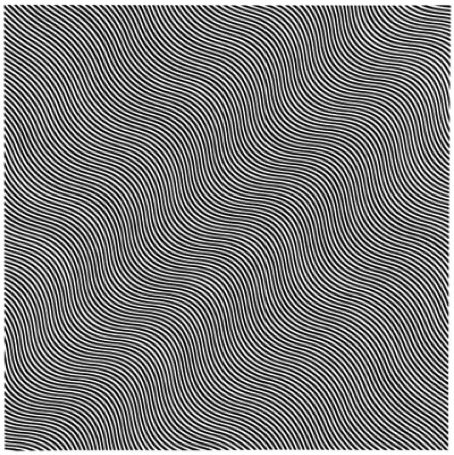 Affiche Bridget Riley Automne 1963 impression sur toile art mural moderne 40x40cm sans cadre