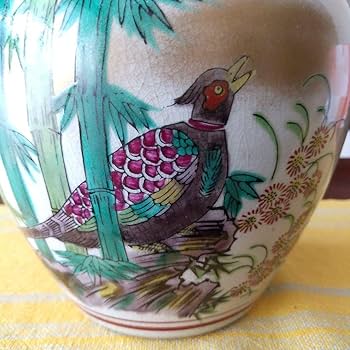 71VXEGK2JuL._AC_UF350, 71VXEGK2JuL._AC_UF350,