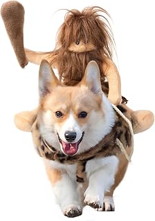 DELIFUR Dog Halloween Costume Funny Dog Cowboy Riding Costume Pet Costume Cat Suit Cowboy Rider Style for Small Medium L