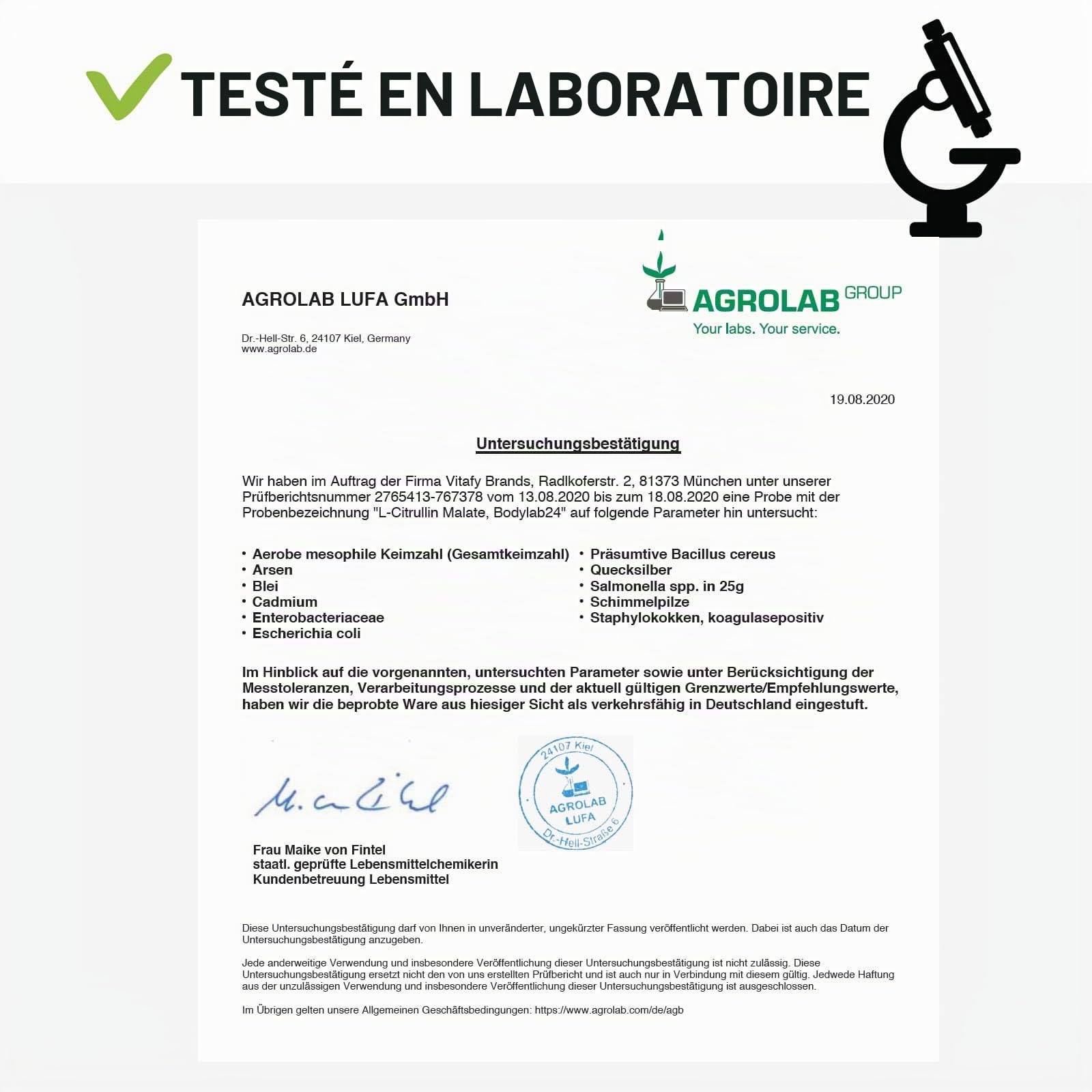 Bodylab24 L-Citrulline Malate 500g, 5g de L-Citrulline Malate par dose, dans un rapport 2:1, parfait pour les entraînements de haute intensité, poudre au goût neutre
