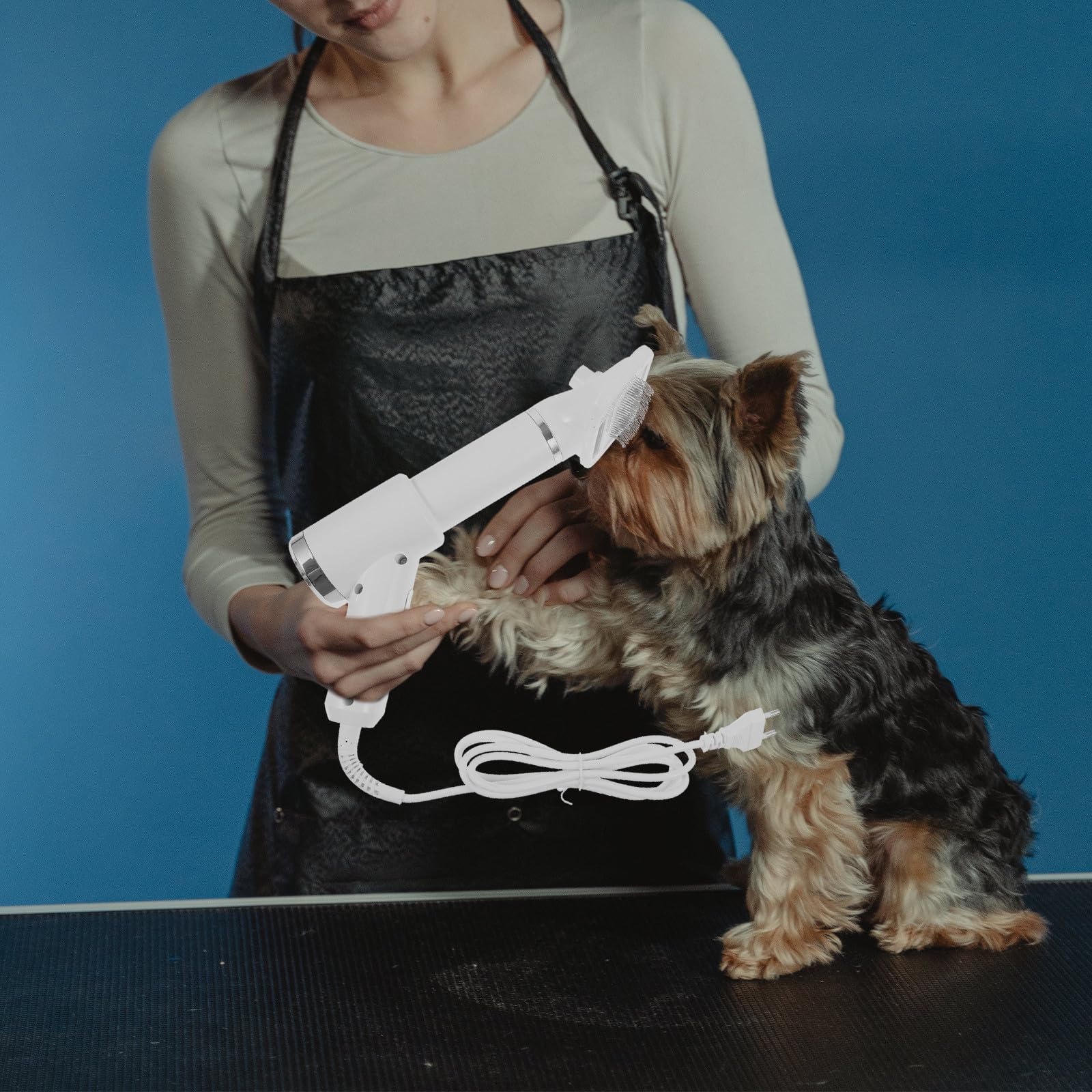 Brosse Sèche-cheveux pour Animaux, Peigne Démêlant Sûr, Blanc