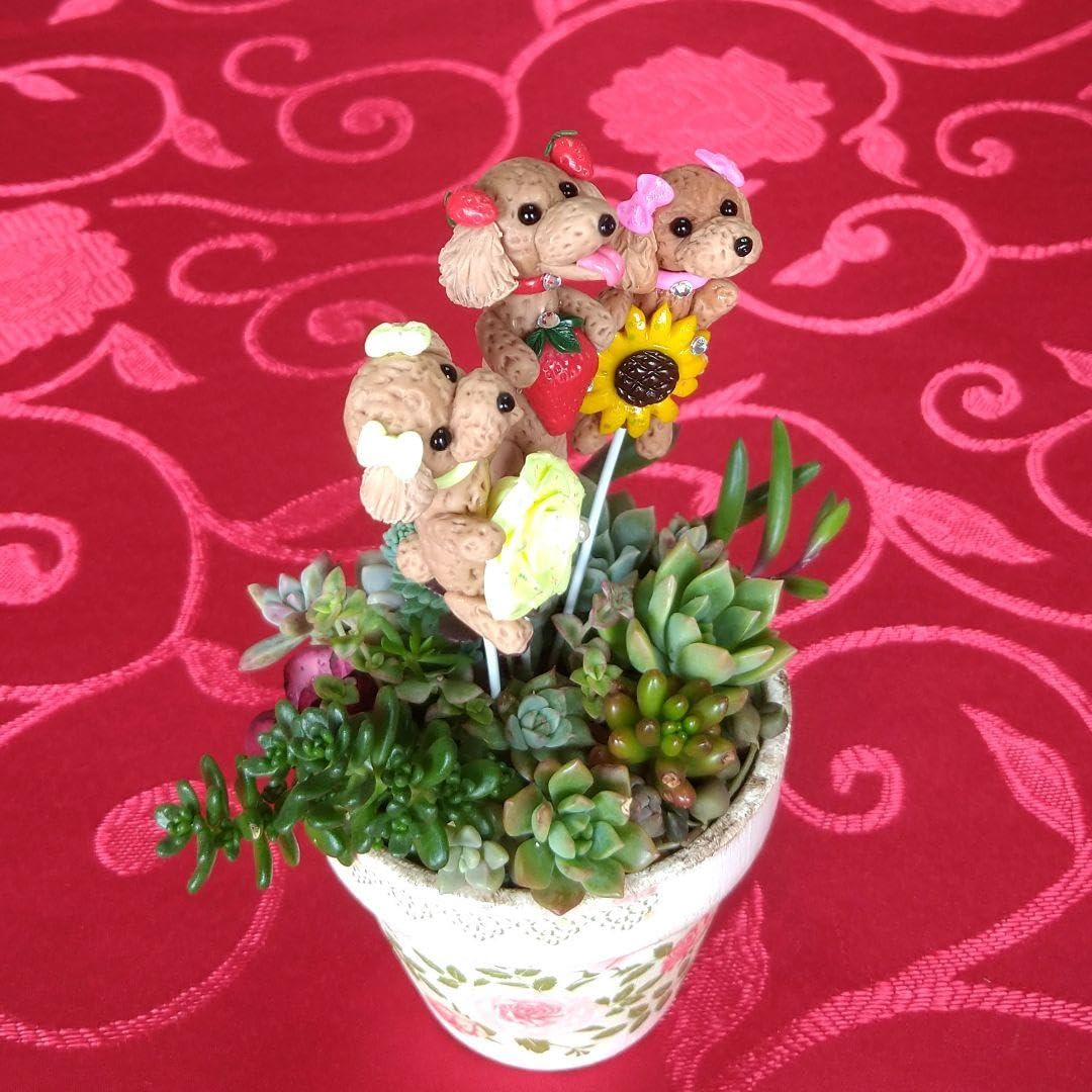 Amazon.co.jp: キラキラ可愛い薔薇＆いちご＆ひまわりトイプードル  