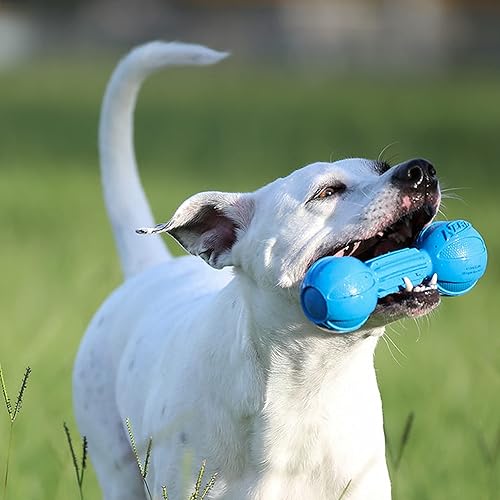 Miniatura 3 de Nerf Dog Juguete masticable para perro, ligero, duradero y resistente al agua, 7.5 pulgadas, para razas medianasgrandes, paquete de dos, azul y