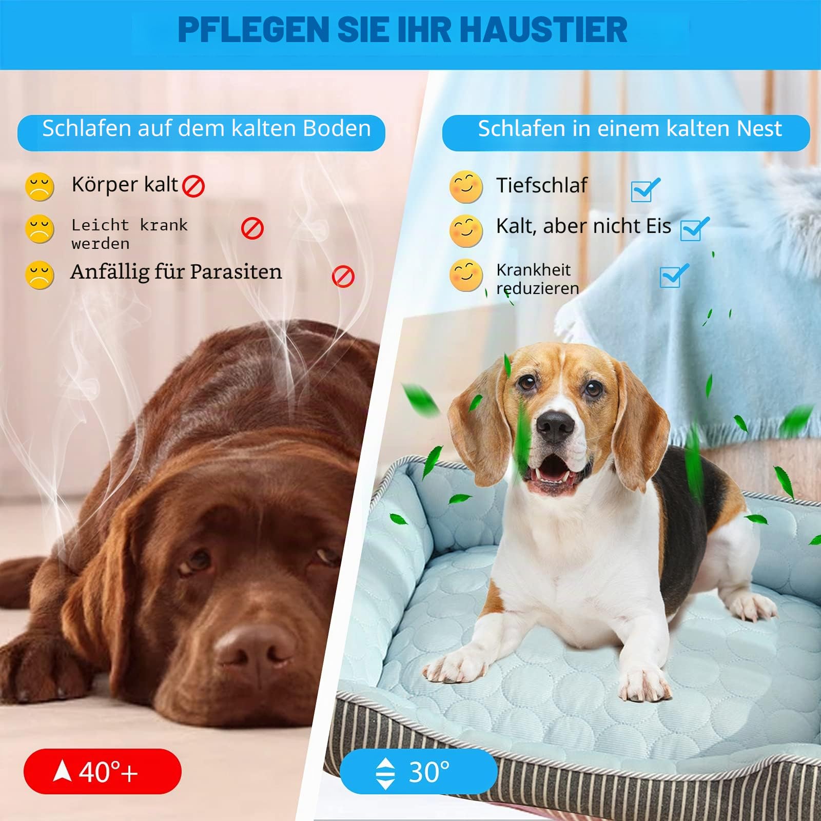 PETCUTE Kühl Hundebett,Orthopädisches Hundebett Grosse Hunde,Waschbar Hundekorb mit 4 Rändern,Hundesofa, Hundekissen mit Anti-Rutsch-Boden,Passend für Sommer,Blau,L