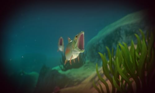 Feed and Grow Fish