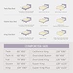 Andency Ensemble de Comforter Reine Blanc(90x90Inch), 3 pièces de literie mignon Pinch Pleat & Ensembles pour lit Queen, Soft Lightweight Fluffy Down Ensemble de lits Alternative Toutes saisons