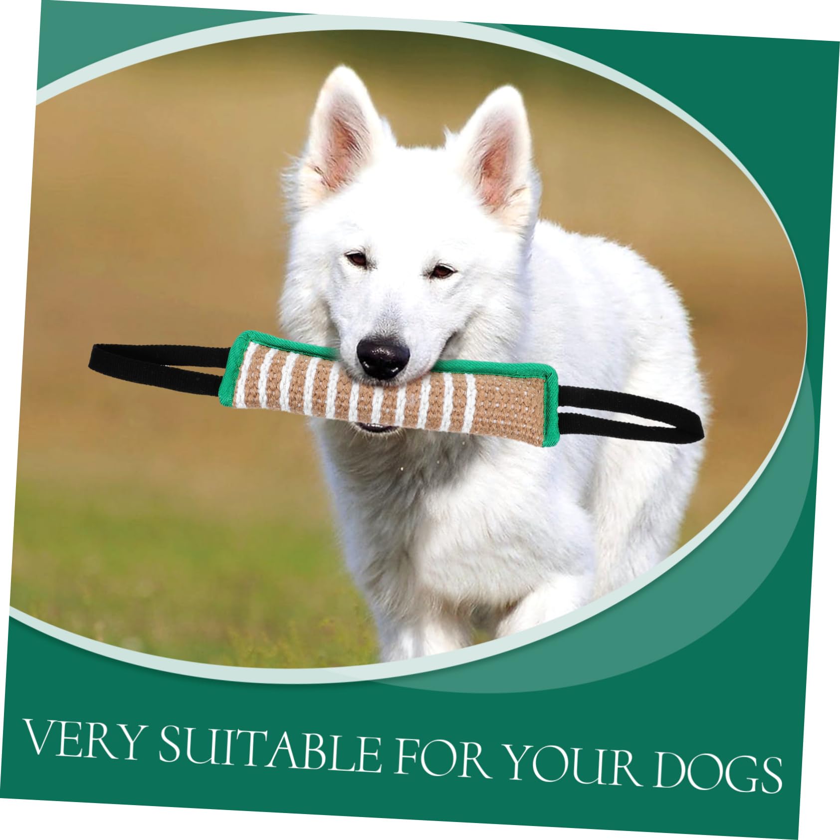 BESPORTBLE 5 Uds Juguetes para Tirar Perros Juguetes Interactivos para Mascotas Juguetes Interactivos para Perros Juguetes para De Raza Almohada De Juguete para Grandes