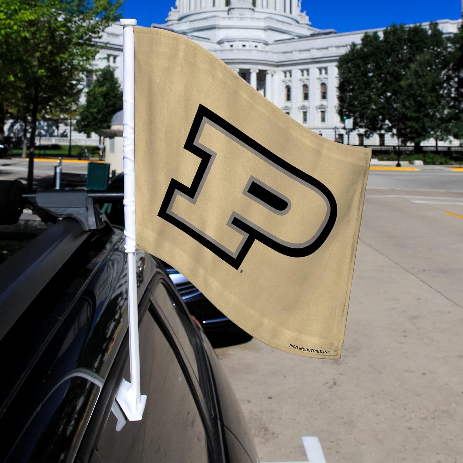 LidomShop Leones del Escogido Double-Sided Car Flag