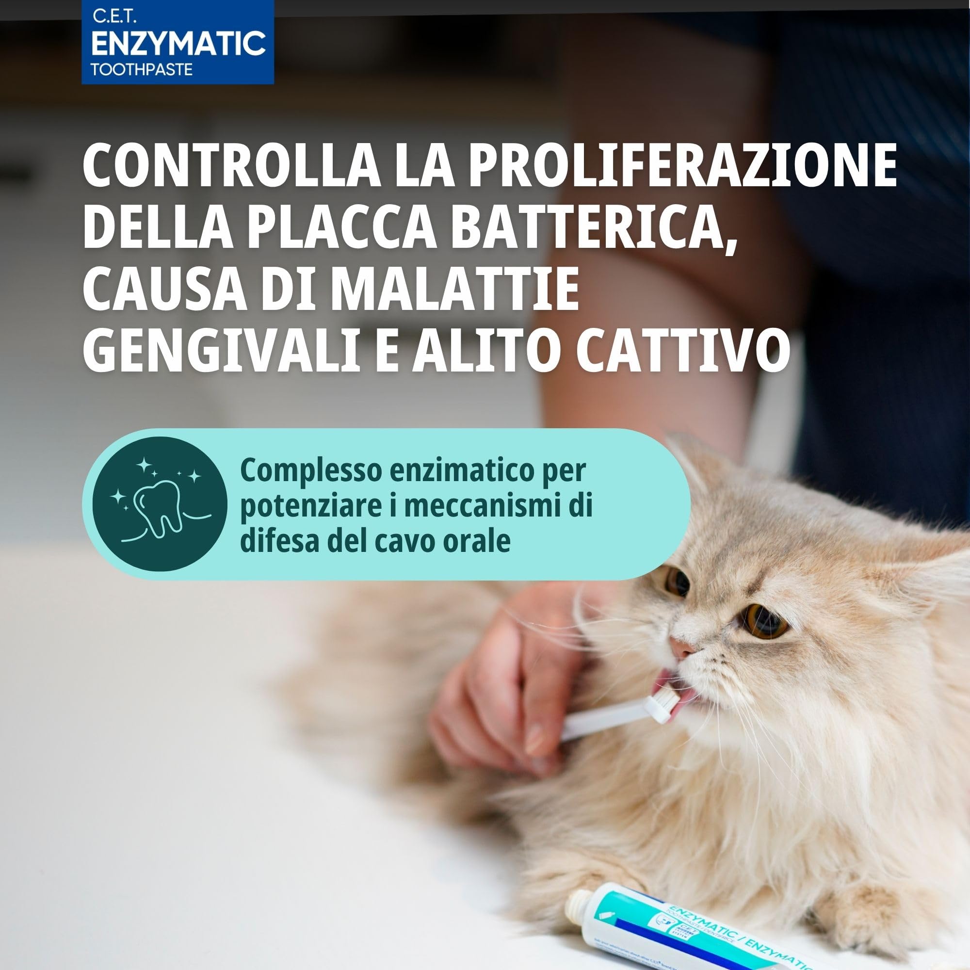 Dentifricio kit per cani