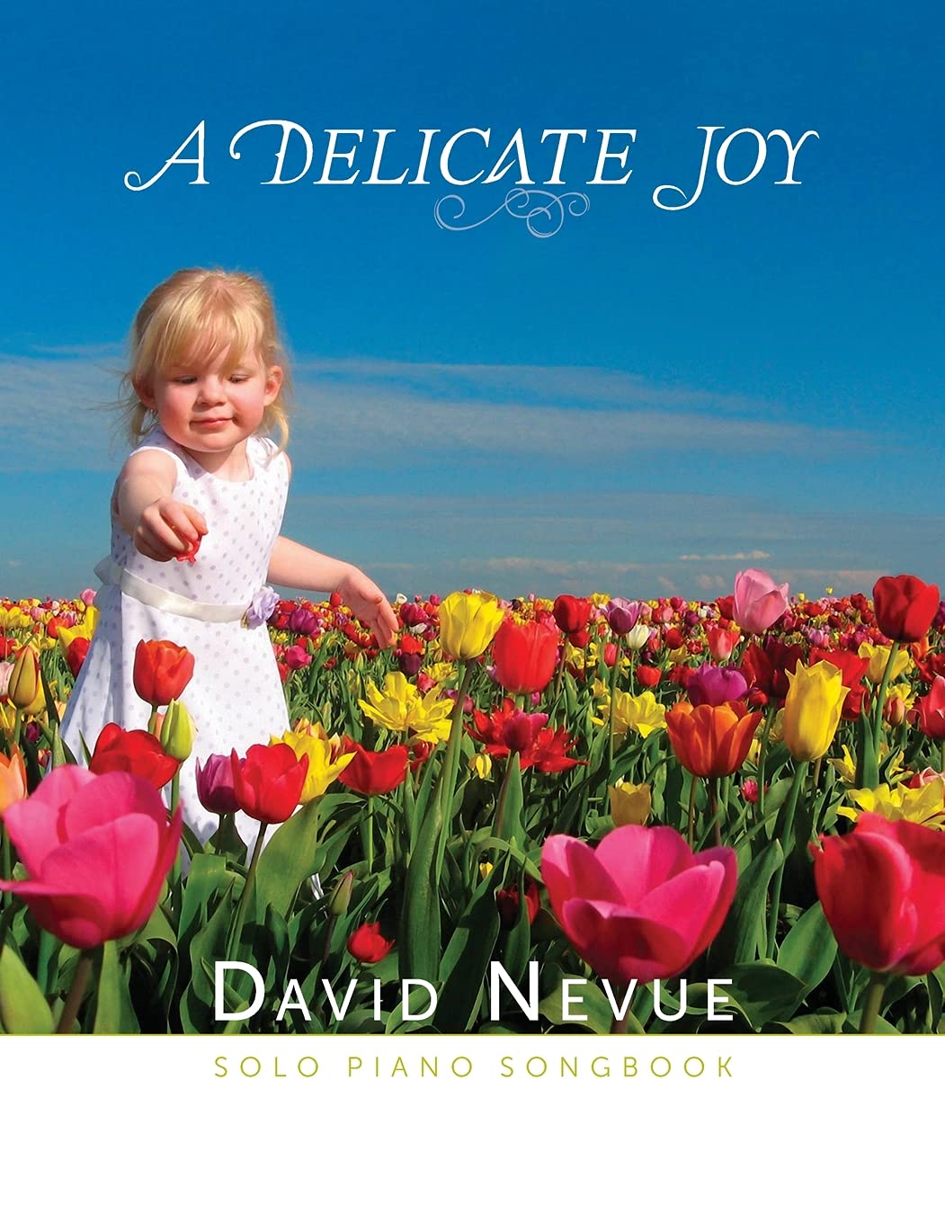David Nevue - A Delicate Joy - Solo Piano Songbook